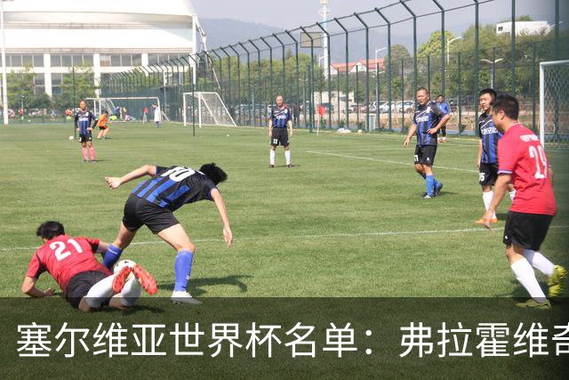 塞尔维亚世界杯名单：弗拉霍维奇领衔 古德利在列